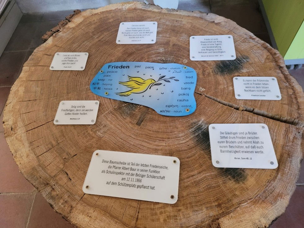 Ausstellung-Albert-Baur-in-Bad-Belzig-2-2024 Ausstellung Albert Baur in Bad Belzig 2024